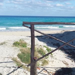 Meet your Posher, Marian